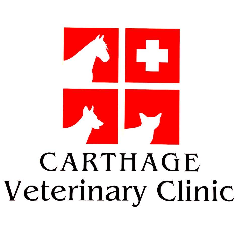 carthage vet clinic